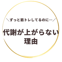 画像256