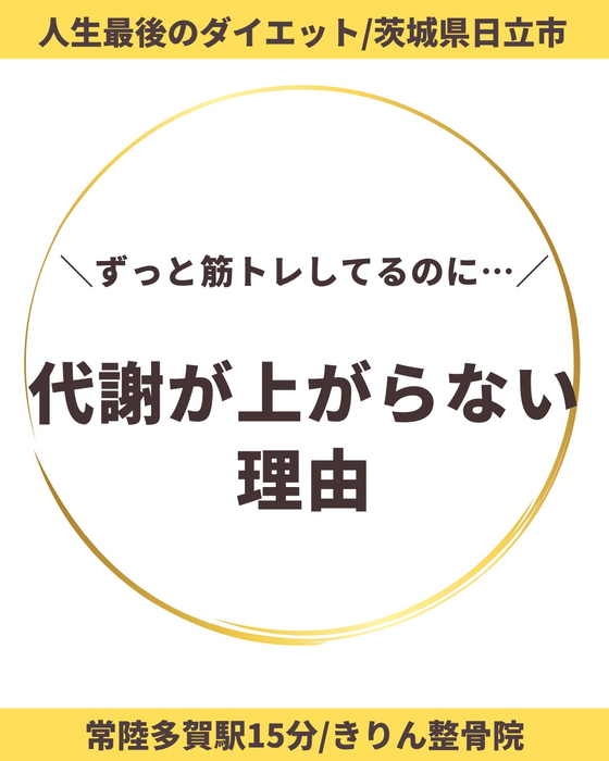 画像256
