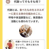 画像259