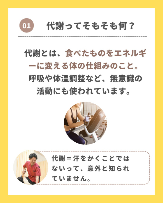 画像259