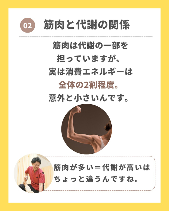 画像260
