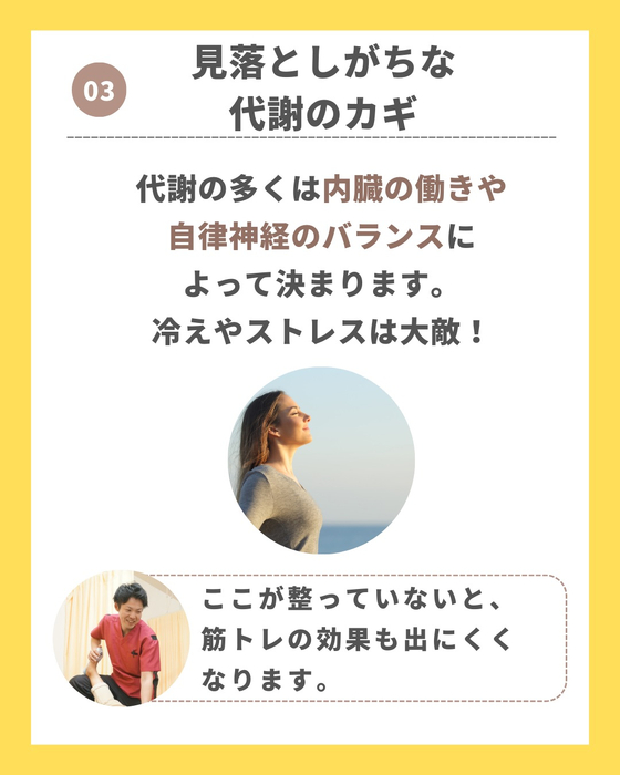 画像261