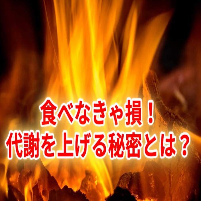 画像267